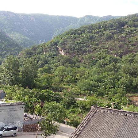 Kungfu Hostel （Songshan Shaolin Temple) Songyang Εξωτερικό φωτογραφία